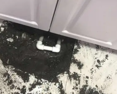 罗平查漏水哪家好